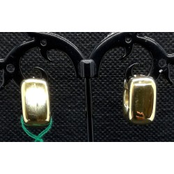 orecchini in oro EURO 580